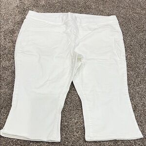 Lane Bryant White Cotton Blend Pants